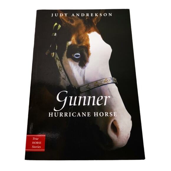 Gunner: Hurricane Horse by Andrekson Judy - Picture 1 of 4